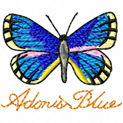 Butterfly Embroidery Design 6